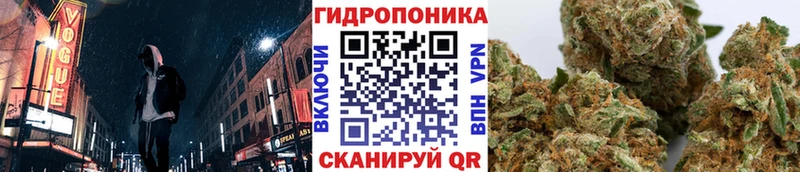 MEGA ONION  Сычёвка  Конопля сатива 